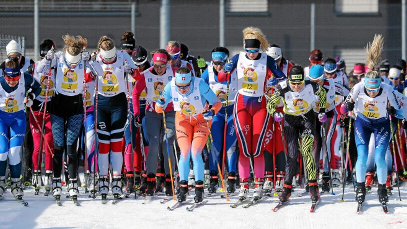 Zehntausende Langlaufbegeisterte starten am kommenden Wochenende wieder am Skimarathon.