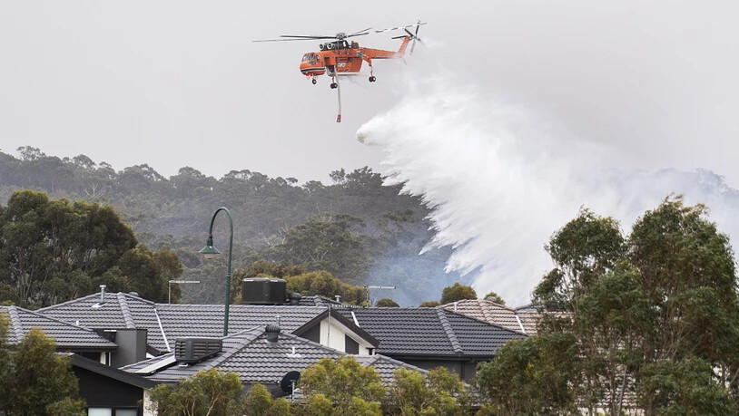 In Bundoora rund 16 Kilometer nördlich des Stadtzentrums von Melbourne liessen Löschflugzeuge vorsorglich Wasserladungen über Wohngebieten niedergehen, um ein Übergreifen der Flammen zu verhindern.