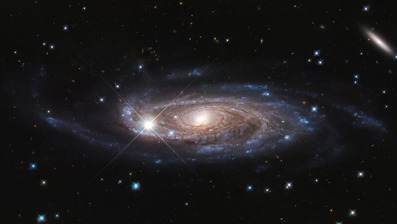 Die Galaxie UGC 2885 ist womöglich die grösste bekannte Galaxie im näheren Universum.