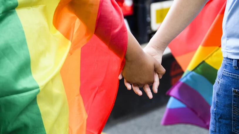 Jungparteien kämpfen dafür, dass Homo- und Bisexuelle künftig vor Diskriminierung geschützt werden. (Archivbild)