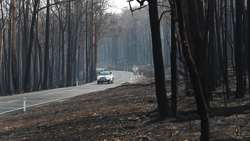 Zahlreiche Buschfeuer haben in den letzten Monaten im Südosten Australiens gewütet. Die Regierung des Bundesstaates New South Wales lässt die Brände und deren Hintergrund nun untersuchen. (Archivbild)