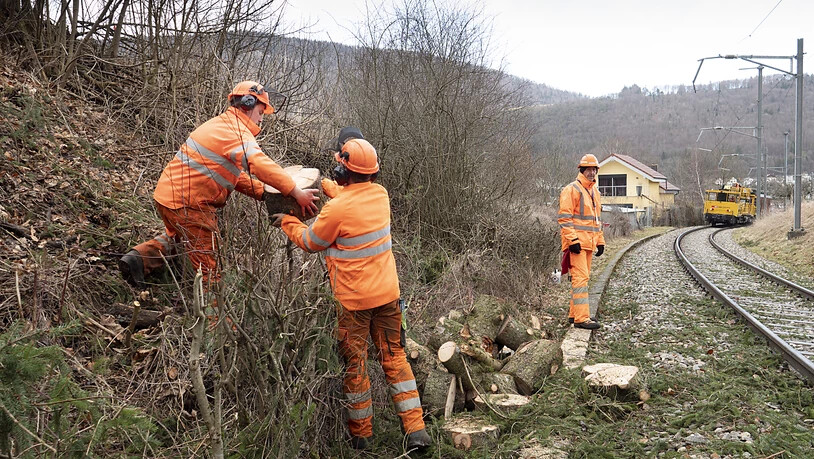 Bahnarbeiter müssen von Orkantief "Sabine" umgestürzte Bäume wegräumen.