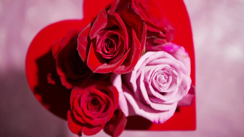 Rosen und Herz zum Valentinstag. 