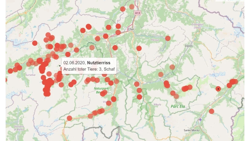Die neue Karte in Graubünden mit den Grossraubtier-Beobachtungen.