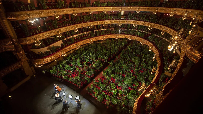 dpatopbilder - Musiker proben im Gran Teatre del Liceu, wobei alle 2.292 Sitzplätze mit Pflanzen besetzt sind. Foto: Emilio Morenatti/AP/dpa