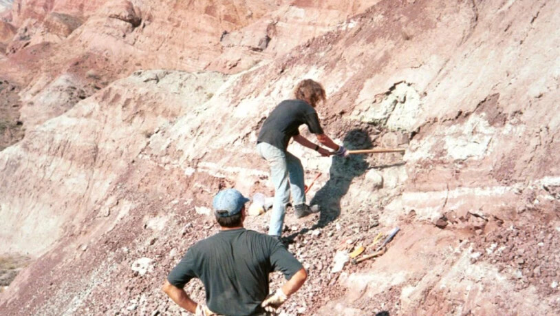 Grabung im Junggar-Becken in Nordwest-China im Jahr 2001: Fundstelle des Dinosaurierknochens mit Bissspuren. (Andreas Matzke, Uni Tübingen)
