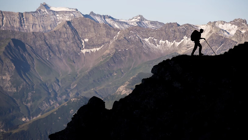 Ein Schäfer im Gegenlicht während 1300 Schafe unter dem Gipfel des Falknis (2562 Meter) bei Fläsch GR auf einem schmalen Pfad von einer Weide zur anderen wandern. Die eindrückliche Schafwanderung hat im Kanton Graubünden eine lange Tradition.