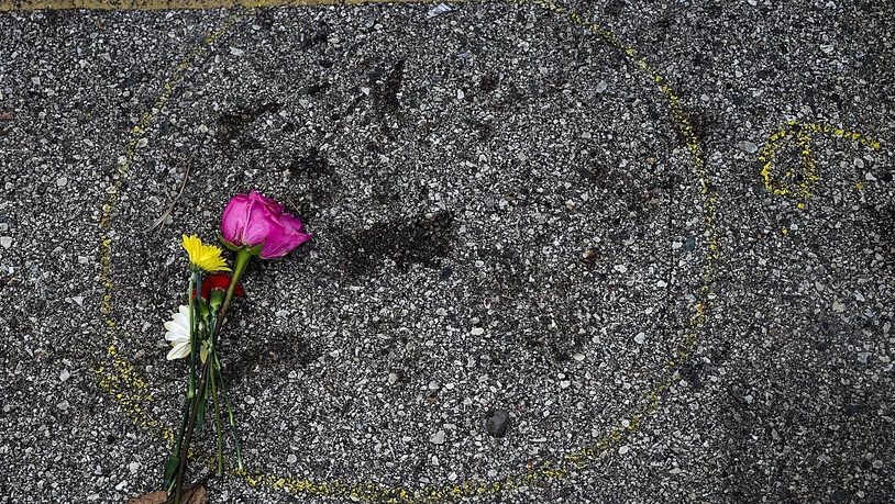 Eine Blume liegt neben einer Tatort-Markierung, wo ein Demonstrant in Kenosha erschossen wurde. Foto: Morry Gash/AP/dpa