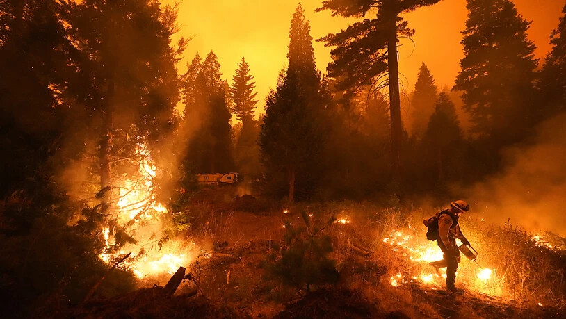 dpatopbilder - Ein Feuerwehrmann ist bei einem Waldbrand im Einsatz. In ganz Kalifornien waren laut einem Lagebericht der Feuerwehr von Sonntag zuletzt mehr als 14 800 Einsatzkräfte damit beschäftigt, 23 größere Brände einzudämmen. Foto: Marcio Jose…