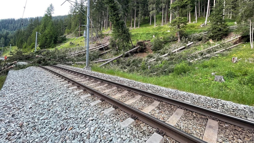 Stillstand: Auch die Albulalinie zwischen Muot und Preda ist wegen umgestürzter Bäume stillgelegt. 