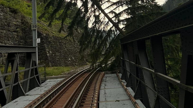 Umgestürzt: Im Streckenabschnitt von Chur nach Arosa ist ein Baum wegen des starken Windes umgestürzt. 