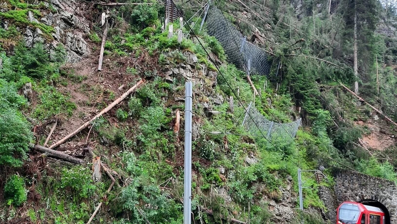 Steil abwärts: Der Streckenabschnitt zwischen Davos und Filisur ist gesperrt, weil umgestürzte Bäume auf dem Gleis liegen.