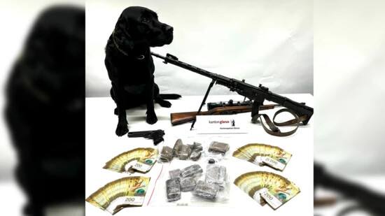 Seine «Beute»: Der Polizeihund Flake kann Drogen und Bargeld aufspüren. In der letzten Woche war er im Glarnerland bei einer Hausdurchsuchung im Einsatz.
