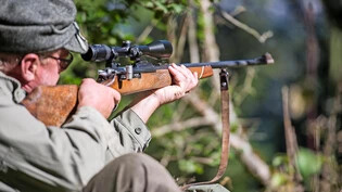 Auf der Jagd ist Geduld und Ausdauer gefragt – im Linthgebiet sind insgesamt rund 180 Jäger aktiv auf der Jagd.
