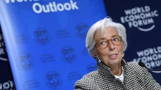 IWF-Chefin Christine Lagarde hat am Weltwirtschaftsforum in Davos dazu aufgerufen, den wirtschaftlichen Aufschwung für Reformen zu nutzen.