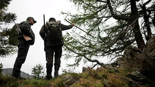 Bündner Jäger halten Ausschau nach jagdbaren Rehen, Hirschen oder Gämsen.