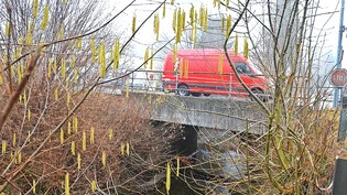 In schlechtem Zustand: Die bestehende Brücke über den Lattenbach soll ersetzt werden. 