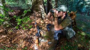 Ausschau halten: Ein Bündner Jäger beobachtet auf der Hochjagd Wild. 

