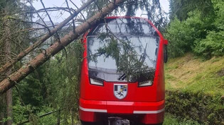 Blockiert: Ein Baum in Schräglage verhindert dem Zug im Abschnitt zwischen Ardez und Scuol-Tarasp die Weiterfahrt. 