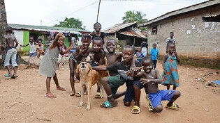 Sie werden bald beschenkt: Kinder machen in Liberia fast 45 Prozent der Bevölkerung aus. 
