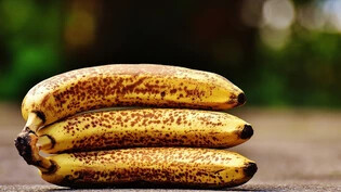 Food Waste verhindern: Solche Bananen könnten zum Beispiel in einen Kühlschrank von Madame Frigo wandern.