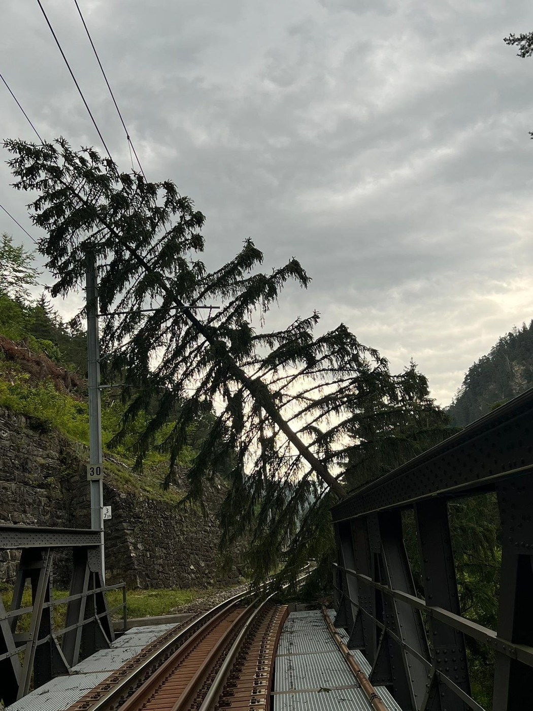 Starke Winde: Im Streckenabschnitt von Chur nach Arosa ist ein Baum wegen des starken Windes umgestürzt.