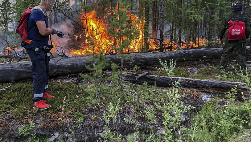 Bei den Busch- und Waldbränden in Russland ist eine rekordhohe Zahl von Wäldern zerstört worden. (Archivbild)