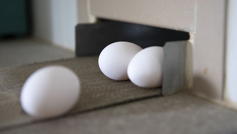 In den Wochen vor Weihnachten ist mit einem höheren Bedarf an Eiern zu rechnen. Der Bundesrat hat deshalb eine vorübergehende Erhöhung des Importkontingents bewilligt. (Themenbild)
