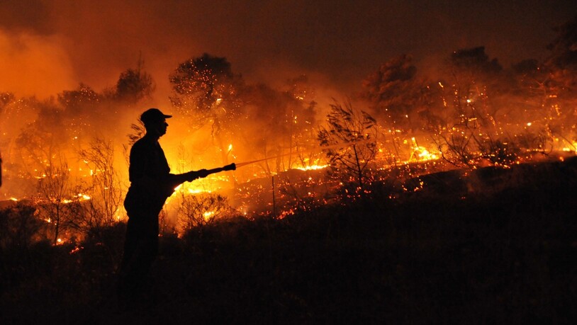 In Nea Makri nordöstlich von Athen ist erneut ein Waldbrand ausgebrochen. (Archivbild)