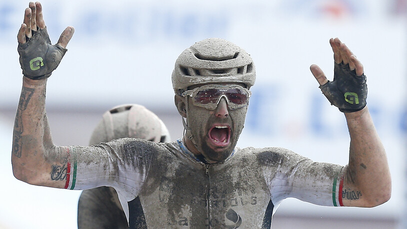 Sonny Colbrelli bejubelt seinen Triumph bei Paris - Roubaix
