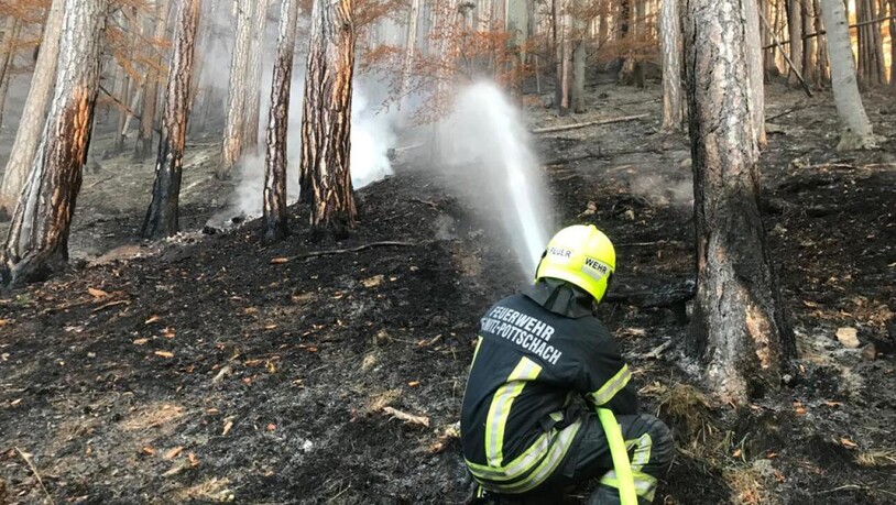 Ein Feuerwehrmann ist bei den Löscharbeiten eines Waldbrandes in Österreich im Einsatz. Foto: Einsatzdoku/APA/dpa