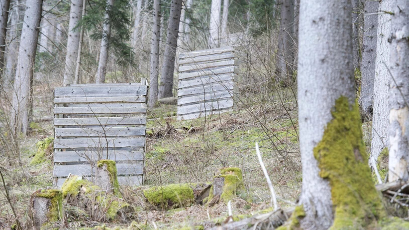 Medienorientierung Wald Wild Bericht Surselva 2018 Ilanz Castrisch Zaun