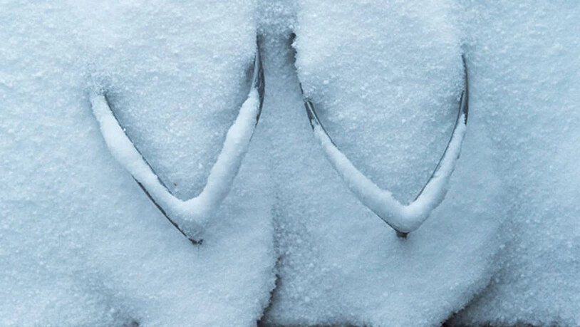 Flip Flops im Schnee: Passend zum Quiz der Extreme. Bild Yanik Bürkli