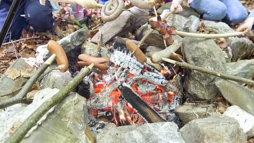 Kindergärtler grillieren anlässlich der Churer Maiensässfahrt im Fürstenwald.