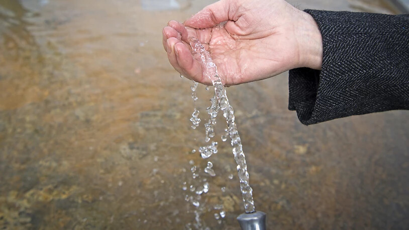 Der Nationalrat will das Gewässerschutzgesetz anpassen, damit synthetische Pestizide, die das Trinkwasser belasten, aus dem Verkehr gezogen werden können. (Themenbild)