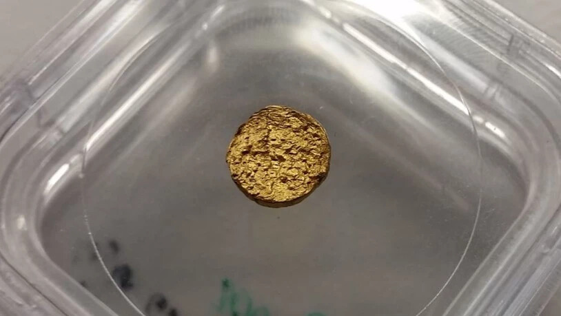 Sieht aus wie echtes Gold, ist es im Prinzip auch. Dieser Nugget hat 18-Karat, also drei Viertel Feingold-Anteil. Wobei das Gold allerdings in Latex eingebettet ist. Das macht das Material deutlich leichter.