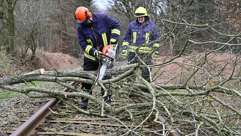 Freiwillige Feuerwehrmänner beseitigen in Deutschland einen umgeknickten Baum auf einer Bahnstrecke.