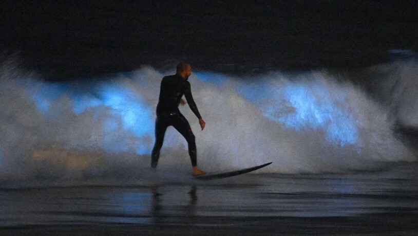 In Kalifornien wurde ein Surfer von einem Hai angegriffen. (Symbolbild)