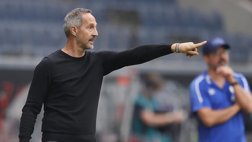 Trainer Adi Hütter dürfte bei Eintracht Frankfurt bald einen neuen Vertrag unterschreiben