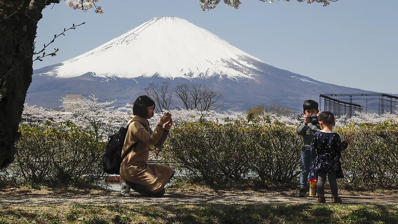 Die Japaner sollen wieder verreisen - aber nur im eigenen Land. Zum Beispiel zum Fudschijama. (Archivbild)