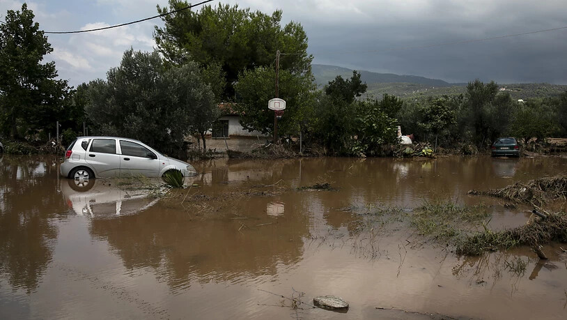 Zwei beschädigte Autos auf einer überfluteten Straße in Politika nordöstlich von Athen. Foto: Yorgos Karahalis/AP/dpa