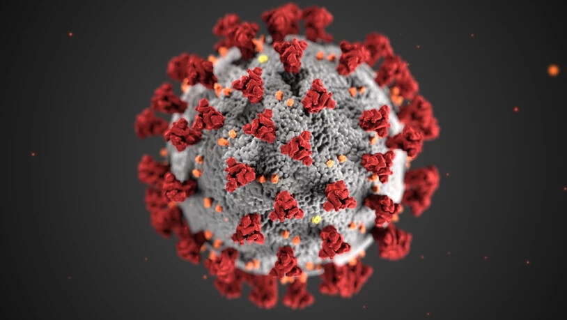 Das Bundesamt für Gesundheit meldete am Freitag 405 neue Coronavirus-Infizierte innerhalb von 24 Stunden.