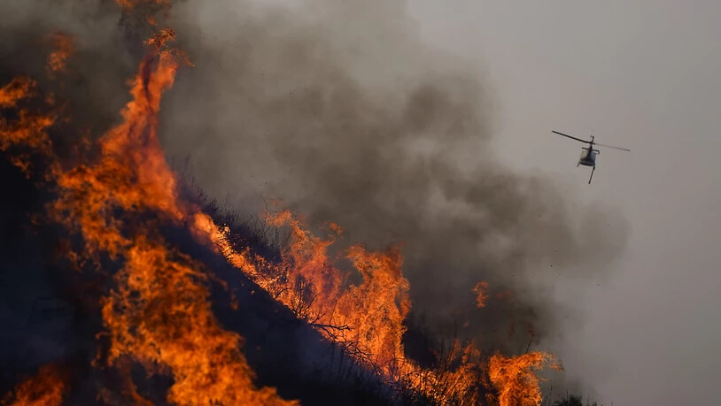 Ein Lösch-Hubschrauber ist beim Blue Ridge Fire im Einsatz. Foto: Jae C. Hong/AP/dpa