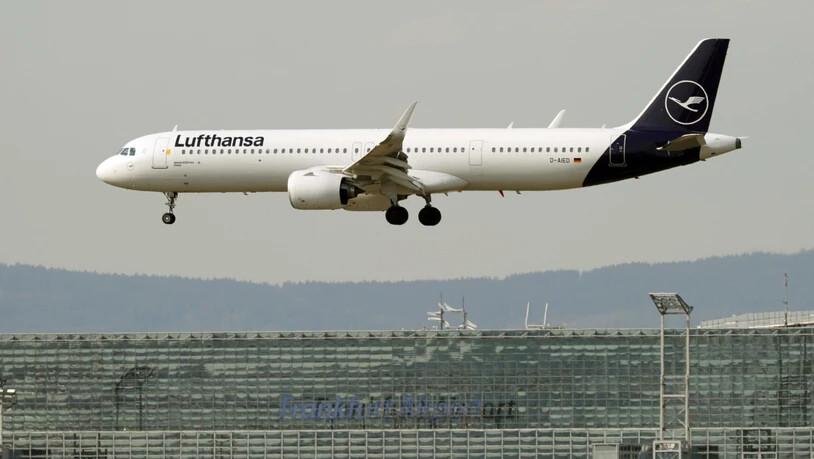 Lufthansa im Tiefflug (Archivbild)