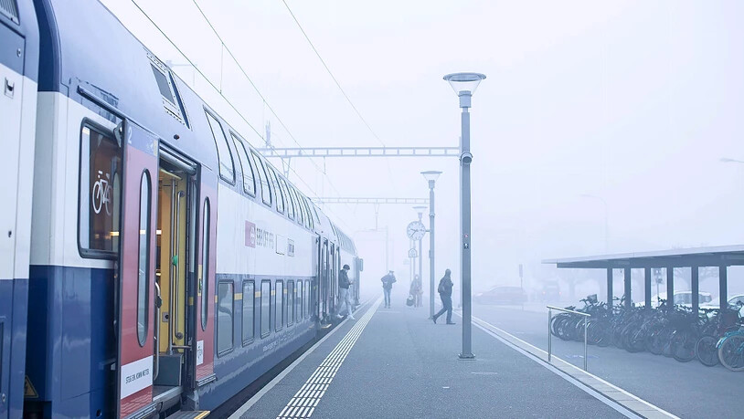 Begegnungen im Nebel: Unser Fotograf Sasi Subramaniam war im Glarnerland unterwegs.