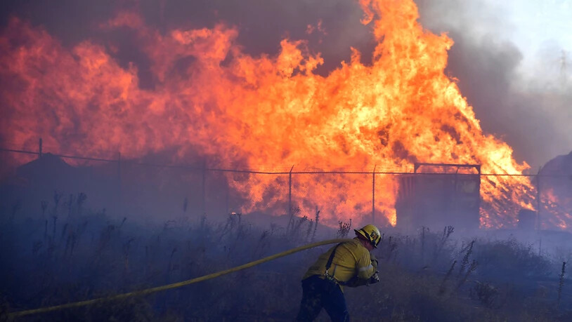Die Feuerwehr versucht die neuen Brände in Kalifornien einzudämmen: Der US-Staat ist dieses Jahr erneut von immer wiederkehrenden Waldbränden betroffen. Foto: Will Lester/The Orange County Register/AP/dpa