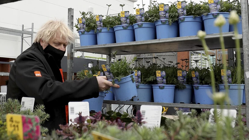 dpatopbilder - Boris Johnson, Premierminister von Großbritannien, wählt während seines Besuchs im Gartenzentrum eines Baumarktes eine Pflanze aus. Foto: Scott Heppell/AP Pool/dpa