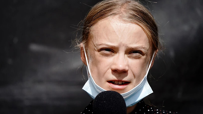 FILED - Die schwedische Klimaaktivistin Greta Thunberg fordert, dass Menschen die Natur besser schützen. Photo: Kay Nietfeld/dpa