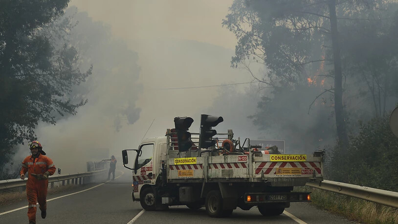 Forstbeamte sind während eines Waldbrandes in Ribas De Sil, in der Provinz Lugo, im Einsatz. Foto: Rosa Veiga/EUROPA PRESS/dpa