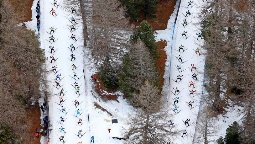 Aus der Luft: DIe Läuferinnen und Läufer schlängeln sich durch den Engadiner Wald.